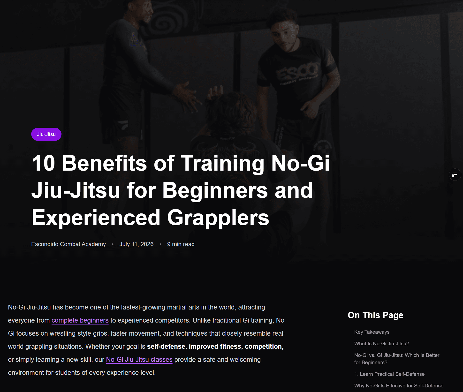 MMA gym website content page