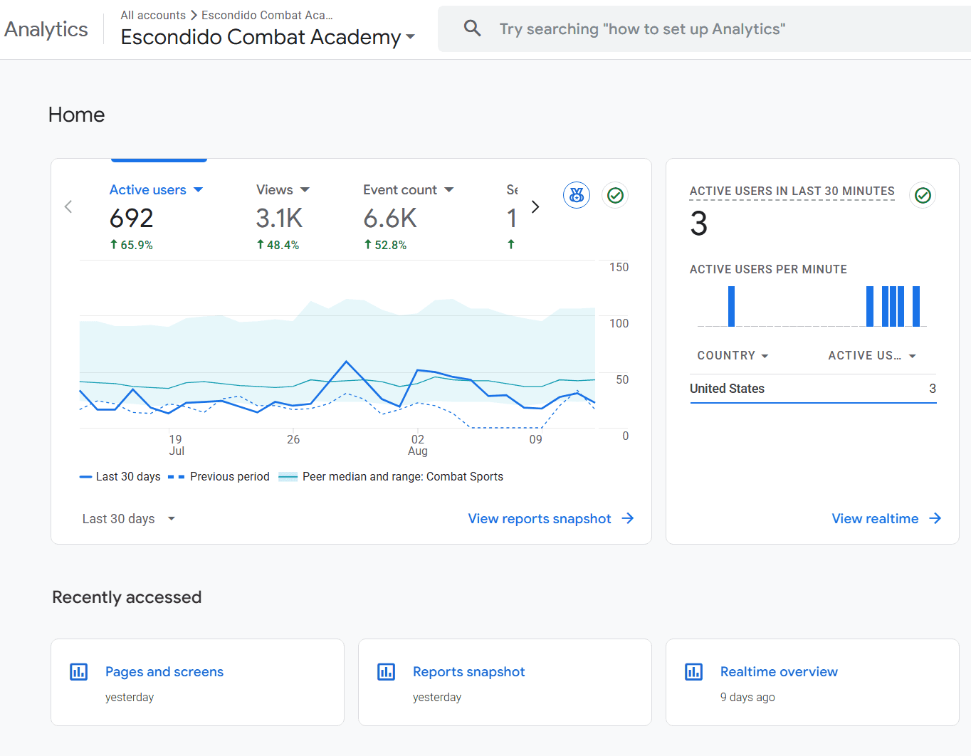 MMA gym website analytics and performance